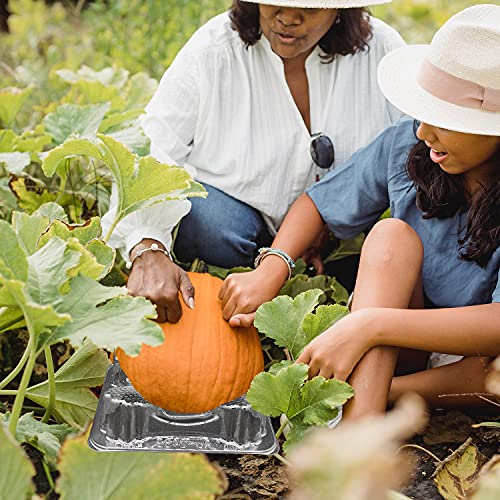 NN/A 50 Pcs Plastic Melon Cradle Watermelon Support Plastic Garden Melon Protectors for Avoid Cantaloupe,Pumpkin,Watermelon Ground Rot