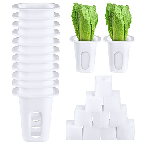 50 Sets of Hydroponic Garden Growing System Accessories Includes 50 Planting Baskets 50 Plant Growth Sponges Compatible with Most Hydroponic Garden Planting Systems
