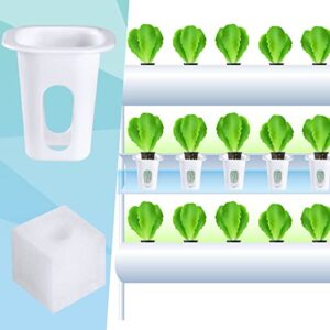 50 Sets of Hydroponic Garden Growing System Accessories Includes 50 Planting Baskets 50 Plant Growth Sponges Compatible with Most Hydroponic Garden Planting Systems