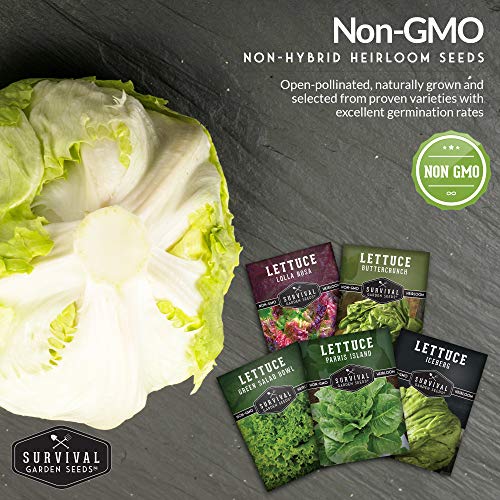 Survival Garden Seeds 5 Lettuce Collection Seed Vault - Buttercrunch, Oakleaf, Lolla Rosa, Parris Island, Iceberg - Non-GMO Heirloom Seeds for Year Round Growing in Your Vegetable Garden