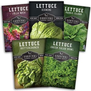 survival garden seeds 5 lettuce collection seed vault – buttercrunch, oakleaf, lolla rosa, parris island, iceberg – non-gmo heirloom seeds for year round growing in your vegetable garden