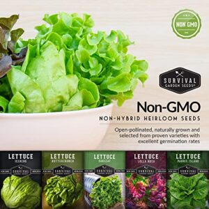 Survival Garden Seeds 5 Lettuce Collection Seed Vault - Buttercrunch, Oakleaf, Lolla Rosa, Parris Island, Iceberg - Non-GMO Heirloom Seeds for Year Round Growing in Your Vegetable Garden