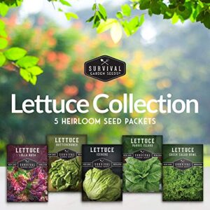 Survival Garden Seeds 5 Lettuce Collection Seed Vault - Buttercrunch, Oakleaf, Lolla Rosa, Parris Island, Iceberg - Non-GMO Heirloom Seeds for Year Round Growing in Your Vegetable Garden