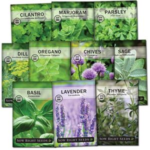 sow right seeds – herb garden seed collection – basil, chives, parsley, cilantro, oregano, dill, lavender, marjoram, sage & thyme – non gmo heirloom – instructions to plant an outdoor or indoor garden