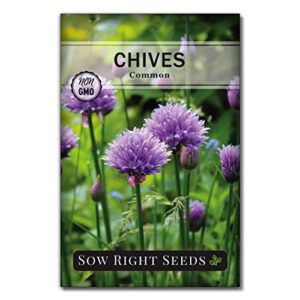 Sow Right Seeds - Herb Garden Seed Collection - Basil, Chives, Parsley, Cilantro, Oregano, Dill, Lavender, Marjoram, Sage & Thyme - Non GMO Heirloom - Instructions to Plant an Outdoor or Indoor Garden