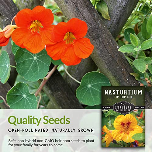 Survival Garden Seeds - Tip Top Mix Nasturtium Seeds - 3 Packs with Instructions to Plant and Grow Edible Flowers & Companion Plants in Your Home Vegetable Garden - Non-GMO Heirloom Variety