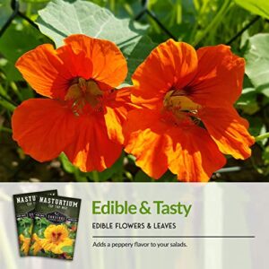 Survival Garden Seeds - Tip Top Mix Nasturtium Seeds - 3 Packs with Instructions to Plant and Grow Edible Flowers & Companion Plants in Your Home Vegetable Garden - Non-GMO Heirloom Variety