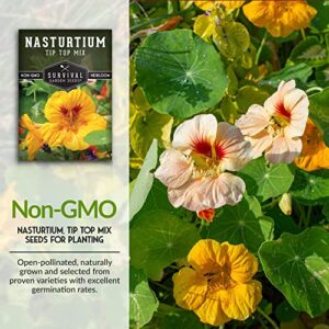 Survival Garden Seeds - Tip Top Mix Nasturtium Seeds - 3 Packs with Instructions to Plant and Grow Edible Flowers & Companion Plants in Your Home Vegetable Garden - Non-GMO Heirloom Variety