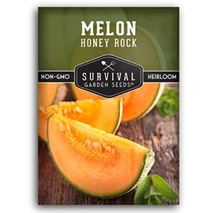 survival garden seeds – honey rock melon seed for planting – packet with instructions to plant and grow sweet delicious cantaloupe fruit in your home vegetable garden – non-gmo heirloom variety