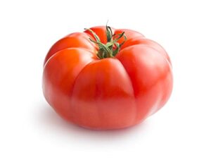 beefsteak heirloom tomato seeds for planting home garden – vegetable seeds – beefsteak tomatoes