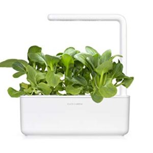 Click and Grow Smart Garden Pak Choi Plant Pods, 3-Pack
