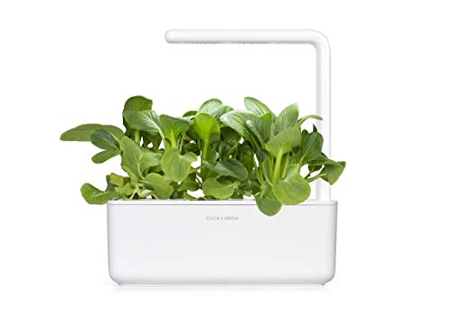 Click and Grow Smart Garden Pak Choi Plant Pods, 3-Pack