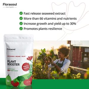 Florasoul All Purpose Liquid Plant Food Vegan Organic Garden Fertilizer Flowers, Vegetables, Herbs, Shrubs, Trees NPK3-4-18 Water Soluble Organic Nutrients 500g/200 Gal