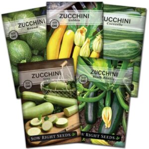 sow right seeds – zucchini squash seed collection for planting – black beauty, cocozelle, grey, round, and golden – non-gmo heirloom packet to plant a home vegetable garden – productive summer squash