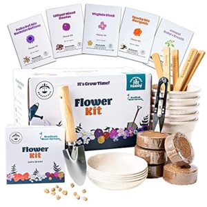 flower growing kit by beanstalk – 5 types of non-gmo flower seeds, bachelor button, zinnia, marigold, virginia stock, baby’s breath – best birthday garden plant gifts for girls, kids age 5 6 7 8 9 10