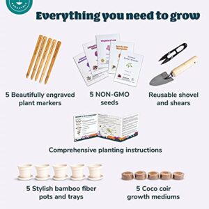 Flower Growing Kit by Beanstalk - 5 Types of Non-GMO Flower Seeds, Bachelor Button, Zinnia, Marigold, Virginia Stock, Baby's Breath - Best Birthday Garden Plant Gifts for Girls, Kids Age 5 6 7 8 9 10