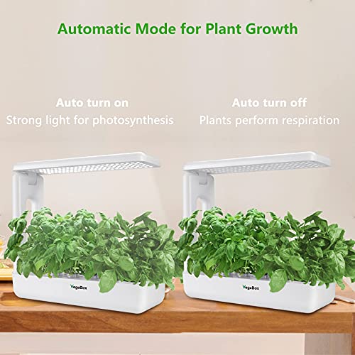 VegeBox 12 Pods Hydroponics Growing System - Indoor Herb Garden, Kitchen Smart Garden Planter, LED Grow Light with Plant Germination Kits(White)…