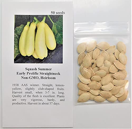 David's Garden Seeds Squash Summer Early Prolific Straightneck FBA-00021 (Yellow) 50 Non-GMO, Heirloom Seeds