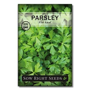 sow right seeds – flat leaf parsley seed for planting – non-gmo heirloom – instructions to plant and grow a kitchen herb garden, indoor or outdoor; great gardening gift (1)
