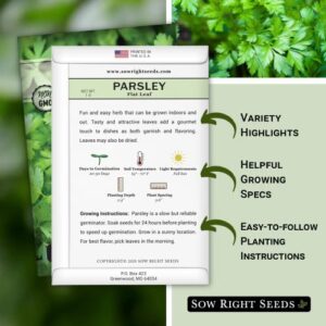 Sow Right Seeds - Flat Leaf Parsley Seed for Planting - Non-GMO Heirloom - Instructions to Plant and Grow a Kitchen Herb Garden, Indoor or Outdoor; Great Gardening Gift (1)