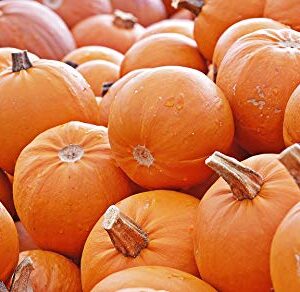 Mixed Pumpkin Seeds for Planting “Classic Mix” – Orange and Orange-Tinted Pumpkins in a Variety of Sizes and Shapes | Heirloom Seeds by Liliana's Garden |