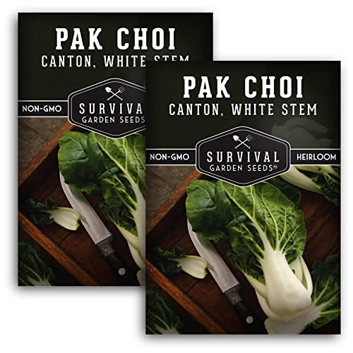 Survival Garden Seeds - Canton White Stem Pak Choi or Bok Choy Seed for Planting - 2 Packs with Instructions to Grow Brassica Rapa Chinensis in Your Home Vegetable Garden - Non-GMO Heirloom Variety