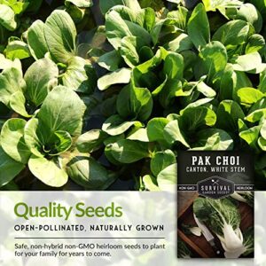 Survival Garden Seeds - Canton White Stem Pak Choi or Bok Choy Seed for Planting - 2 Packs with Instructions to Grow Brassica Rapa Chinensis in Your Home Vegetable Garden - Non-GMO Heirloom Variety