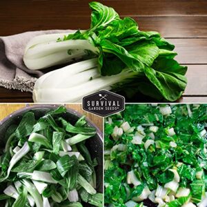 Survival Garden Seeds - Canton White Stem Pak Choi or Bok Choy Seed for Planting - 2 Packs with Instructions to Grow Brassica Rapa Chinensis in Your Home Vegetable Garden - Non-GMO Heirloom Variety