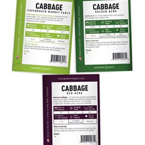 Cabbage Seeds for Planting 5 Individual Packets Bok Choy, Michihili (Napa) Chinese Cabbage, Red, Golden Acre and Copenhagen Market Early for Your Non GMO Heirloom Vegetable Garden by Gardeners Basics