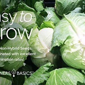 Cabbage Seeds for Planting 5 Individual Packets Bok Choy, Michihili (Napa) Chinese Cabbage, Red, Golden Acre and Copenhagen Market Early for Your Non GMO Heirloom Vegetable Garden by Gardeners Basics