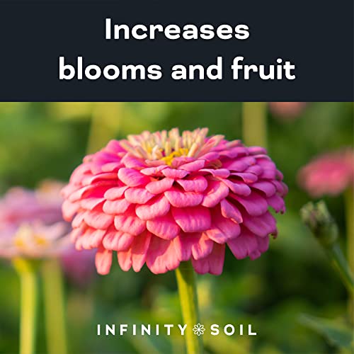 Infinity Soil - Earthworm Castings - Sustainable & Natural Soil Amendment - 0.6-0.7-0.2 NPK - Enhance Soil with Living Microbes and Micronutrients - 1 LB