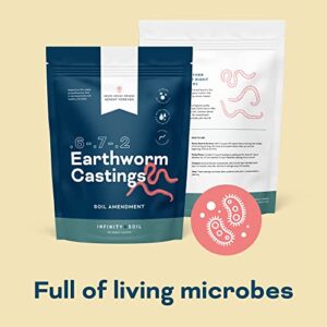 Infinity Soil - Earthworm Castings - Sustainable & Natural Soil Amendment - 0.6-0.7-0.2 NPK - Enhance Soil with Living Microbes and Micronutrients - 1 LB