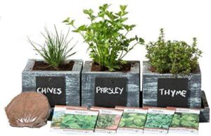cali kiwi pros indoor herb growing kit – diy home cooking kitchen seeds – grow basil, chives, thyme, oregano, parsley, cilantro – free herb scissors, garlic press