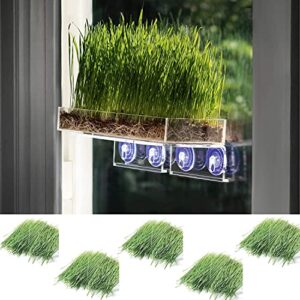 window garden double veg ledge shelf organic wheatgrass kit bundle (5) -enough pre-measure seeds, fiber soil to grow 5 trays on your indoor window. superfood healthy benefits for you and your cat.