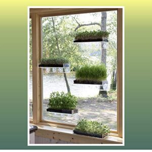 Window Garden Double Veg Ledge Shelf Organic Wheatgrass Kit Bundle (5) -Enough Pre-Measure Seeds, Fiber Soil to Grow 5 Trays on Your Indoor Window. Superfood Healthy Benefits for You and Your Cat.