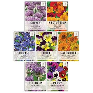 seed needs, edible wildflower seed packet collection ( 7 varieties of flower seed for planting) non-gmo & untreated – includes viola, pansies, chives, borage, calendula, nasturtium and bee balm