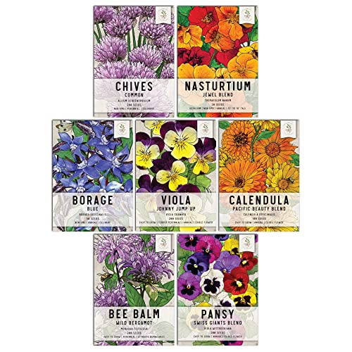 Seed Needs, Edible Wildflower Seed Packet Collection ( 7 Varieties of Flower Seed for Planting) Non-GMO & Untreated - Includes Viola, Pansies, Chives, Borage, Calendula, Nasturtium and Bee Balm