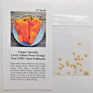 David's Garden Seeds Pepper Specialty Lively Sweet Italian FBA-00037 (Orange) 25 Non-GMO, Open Pollinated Seeds