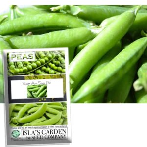 sugar ann snap pea garden seeds, 50+ heirloom seeds per packet, (isla’s garden seeds), non gmo seeds, botanical name: pisum sativum