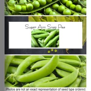 Sugar Ann Snap Pea Garden Seeds, 50+ Heirloom Seeds Per Packet, (Isla's Garden Seeds), Non GMO Seeds, Botanical Name: Pisum sativum