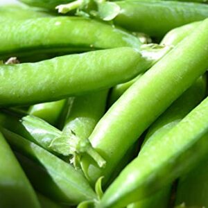 Sugar Ann Snap Pea Garden Seeds, 50+ Heirloom Seeds Per Packet, (Isla's Garden Seeds), Non GMO Seeds, Botanical Name: Pisum sativum