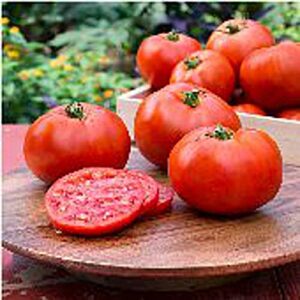 better boy tomato seeds (20+ seeds) | non gmo | vegetable fruit herb flower seeds for planting | home garden greenhouse pack