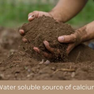 Southside Plants 1 lb Gypsum - Natural Mineral Calcium Sulfate Dihydrate Powder - Garden Soil Amendment Fertilizer for Lawns & Plants - Calcium Sulfate Soil Conditioner - 100% Water Soluble 16 oz