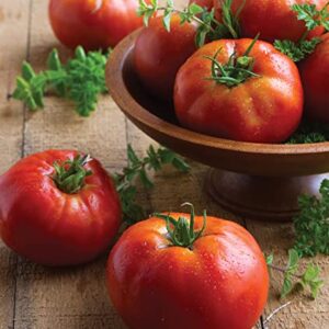 Burpee 'Big Daddy' Hybrid | Red Slicing Tomato | 35 Seeds