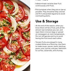 Burpee 'Big Daddy' Hybrid | Red Slicing Tomato | 35 Seeds