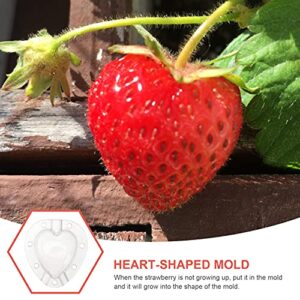 Yardwe 5pcs Garden Fruit Mould Heart Shape Fruit Growing Mould Vegetable Shaping Molds Reusable Fruit Forming Mould Tool for Strawberry Tomatoes Calabash White 4cm