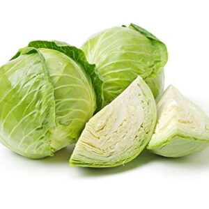 Late Flat Dutch Cabbage Seeds, 1000 Heirloom Seeds Per Packet, (Isla's Garden Seeds), Non GMO Seeds, Botanical Name: Brassica oleracea VAR. capitata