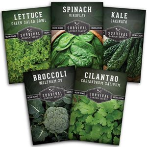 survival garden seeds cool weather collection seed vault – spinach, kale, cilantro, broccoli, and leaf lettuce – non-gmo heirloom varieties for indoor & outdoor planting – homestead necessities