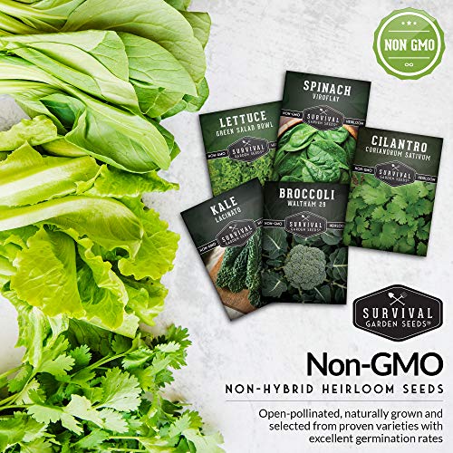 Survival Garden Seeds Cool Weather Collection Seed Vault - Spinach, Kale, Cilantro, Broccoli, and Leaf Lettuce - Non-GMO Heirloom Varieties for Indoor & Outdoor Planting - Homestead Necessities