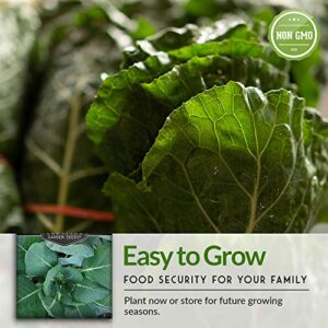 Survival Garden Seeds Cool Weather Collection Seed Vault - Spinach, Kale, Cilantro, Broccoli, and Leaf Lettuce - Non-GMO Heirloom Varieties for Indoor & Outdoor Planting - Homestead Necessities